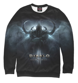 Мужской Свитшот Diablo III