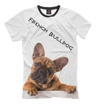 Футболка для мальчиков French Bulldog