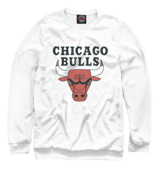 Свитшот Chicago Bulls
