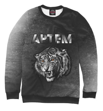 Свитшот для мальчиков Артем / Тигр