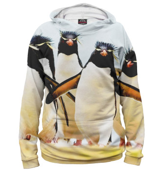 Худи Хохлатые пингвины