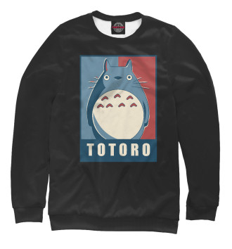 Свитшот для мальчиков Totoro