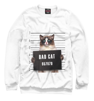 Свитшот для девочек Bad cat