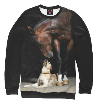 Свитшот Лошадь и пес